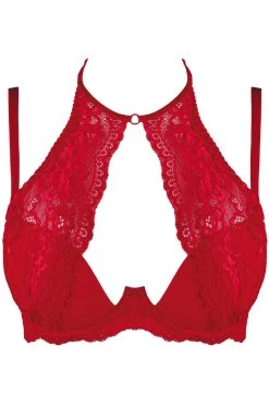 Axami Soutien-gorge Push-up V-9531 10 Axami Soutien-gorge Push-up V-9531 -Boutique Obsessive v 9531 front