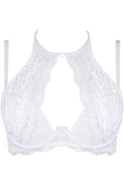 Axami Soutien-gorge Push-up V-9541 10 Axami Soutien-gorge Push-up V-9541 -Boutique Obsessive v 9541 front